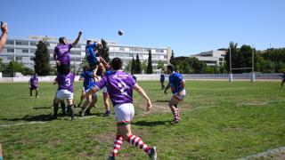 Finales Rugby