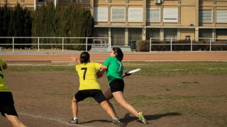 Ultimate Frisbee 