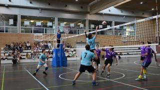 Final Voleibol Educación - EINA 