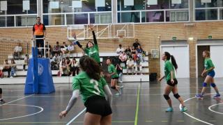Final Voleibol Veterinaria-Derecho