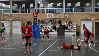 Final Voleibol Veterinaria-Derecho